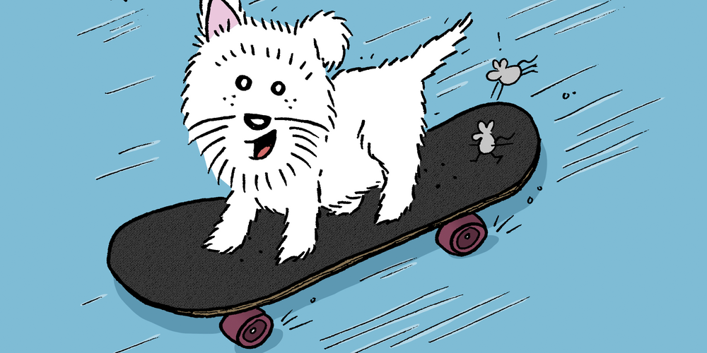 Basil Skateboarding like a Pro