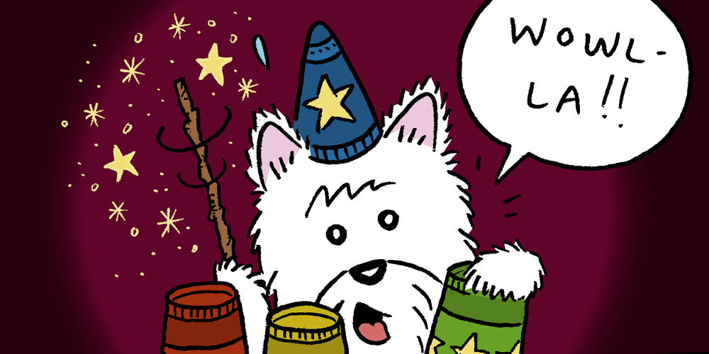 This Westie has got some magic talent!